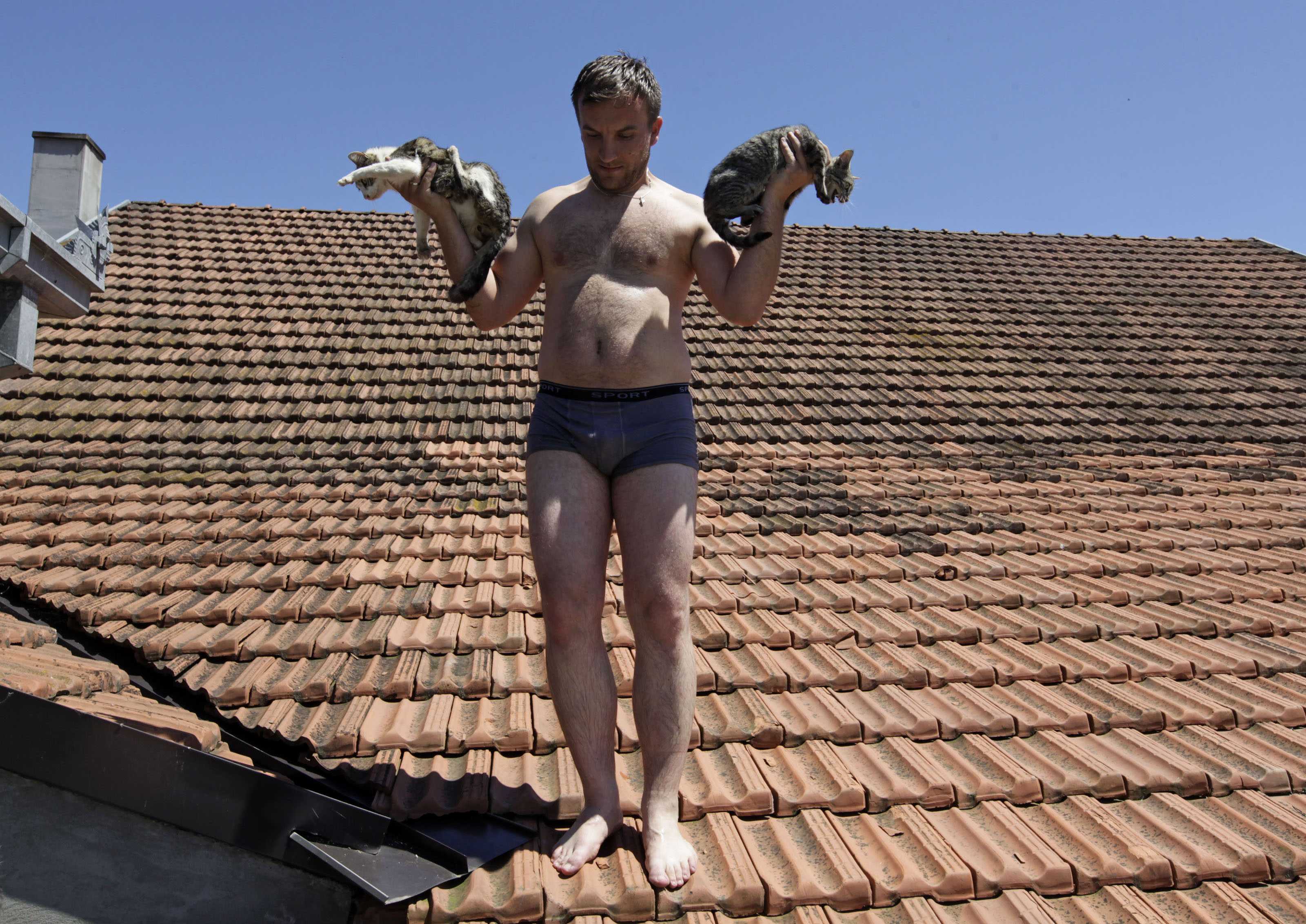 Spašavanje mačaka sa krova