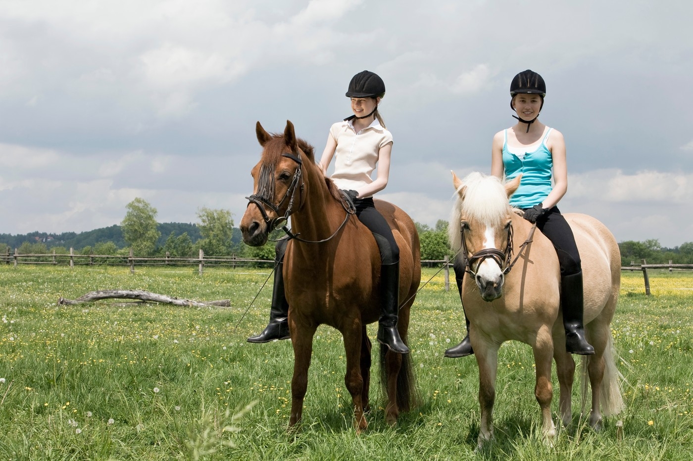 Deca i konji
