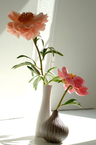 Cveće u vazi