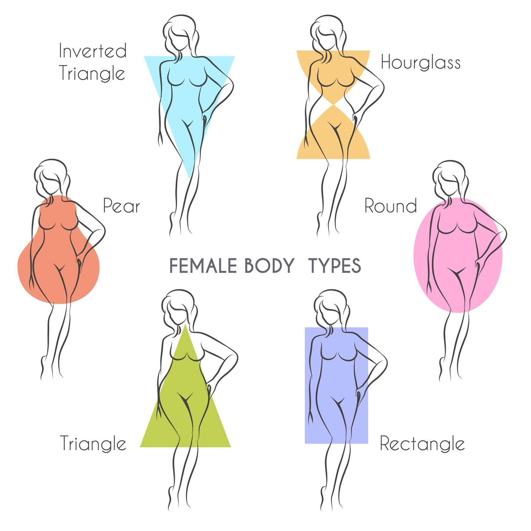 Različiti tipovi oblika ženskog tela