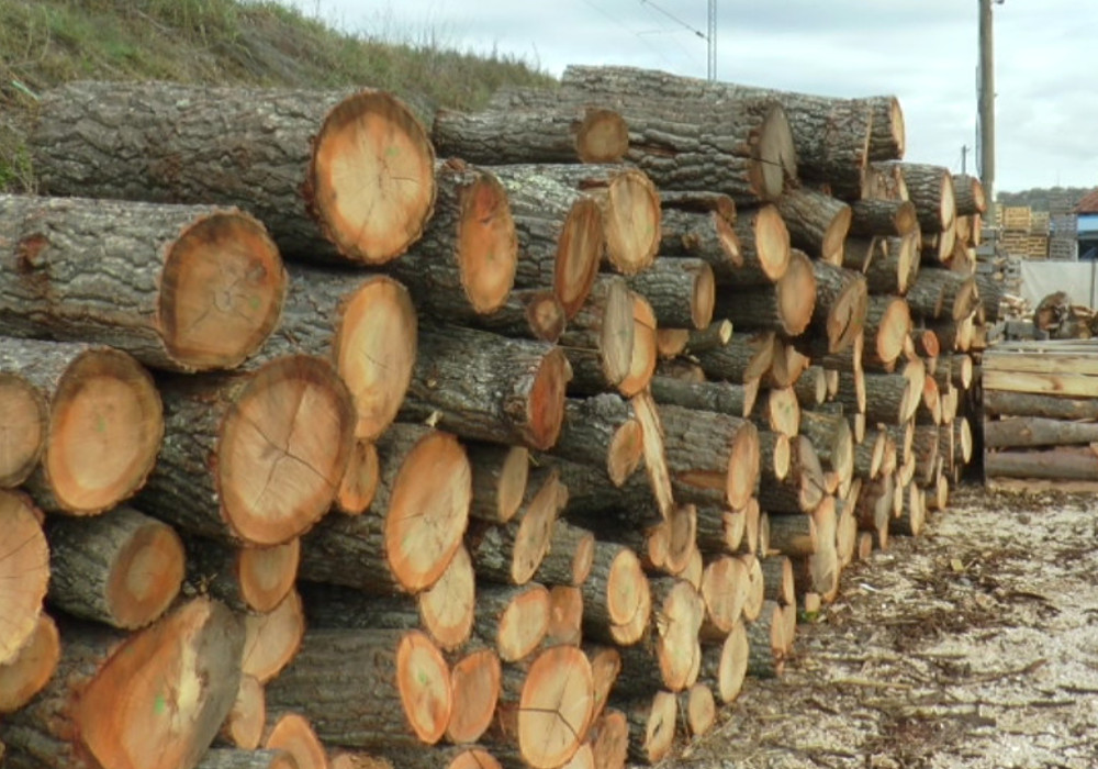 Ove godine poskupela i drva, cena po metru kreće se oko 50 evra, još 10 treba za cepanje