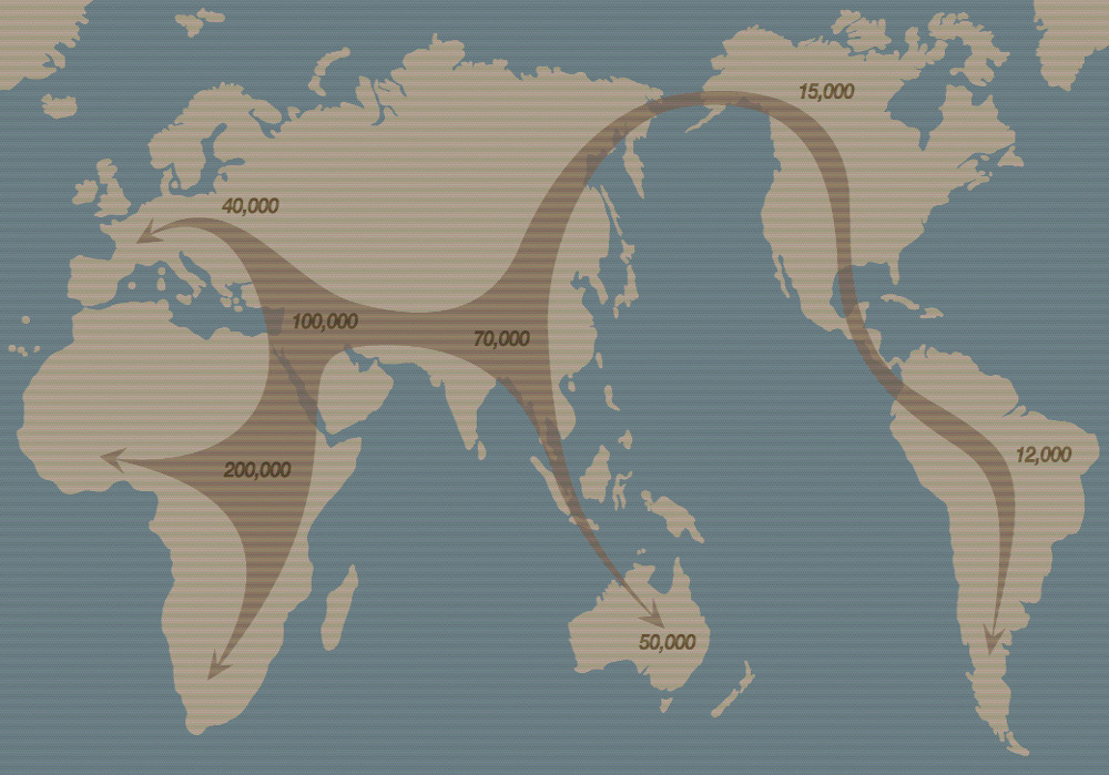karta migracija
