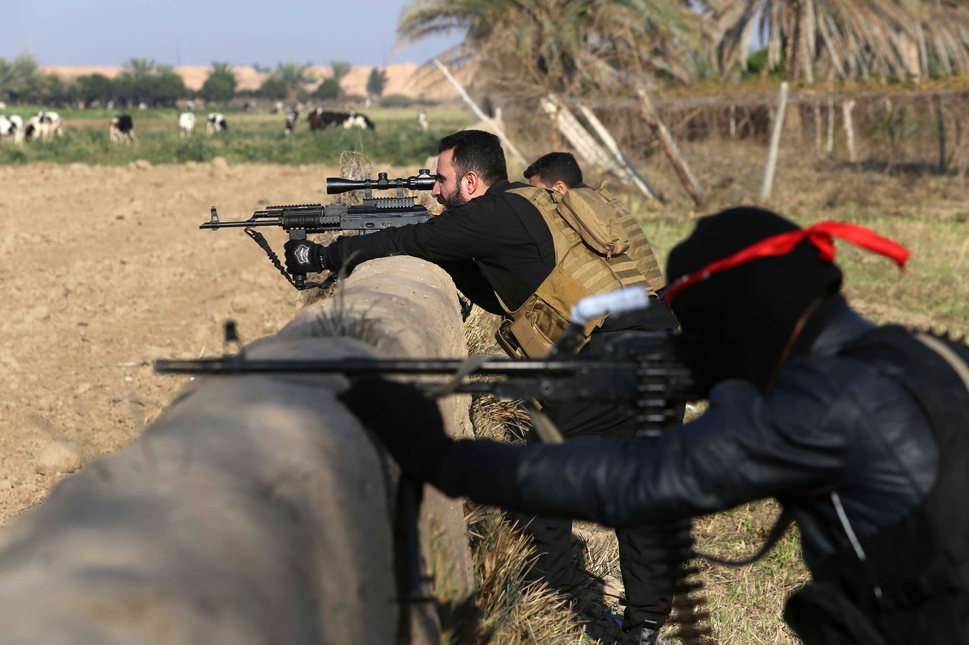Iračke snage otele Duliju Islamskoj državi