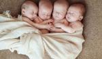 bebe četvorke