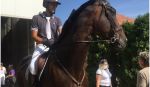 Pansion za konje i škola jahanja “Calypso”
