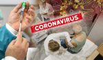 Korona virus
