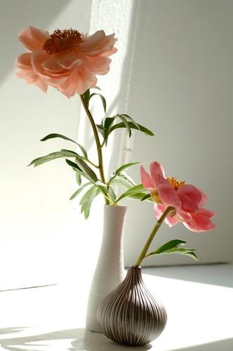 Cveće u vazi