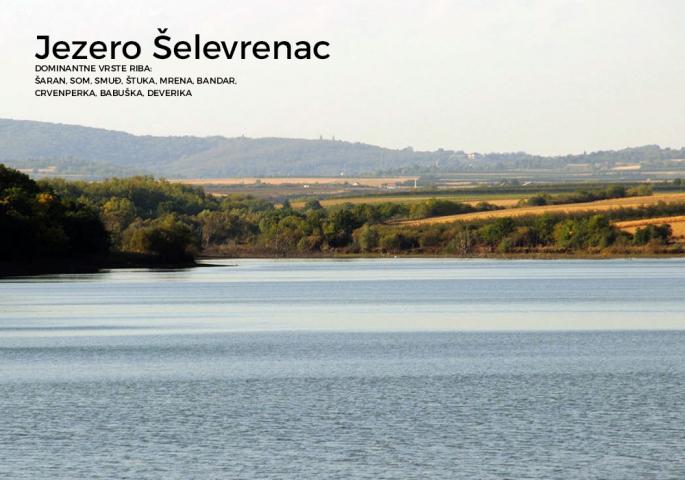 Jezero Šelevrenac
