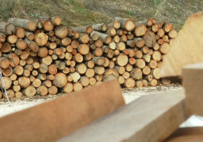 Ove godine poskupela i drva, cena po metru kreće se oko 50 evra, još 10 treba za cepanje