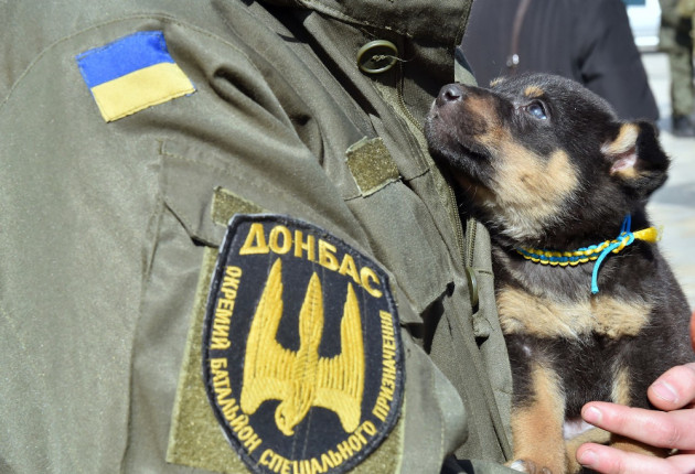 ukrajinska_vojska_4_foto_profimedia.jpg