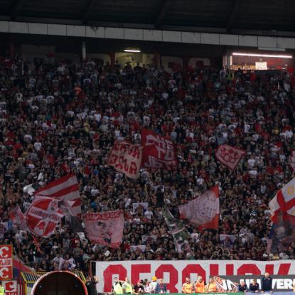 Navijači FK Crvena zvezda